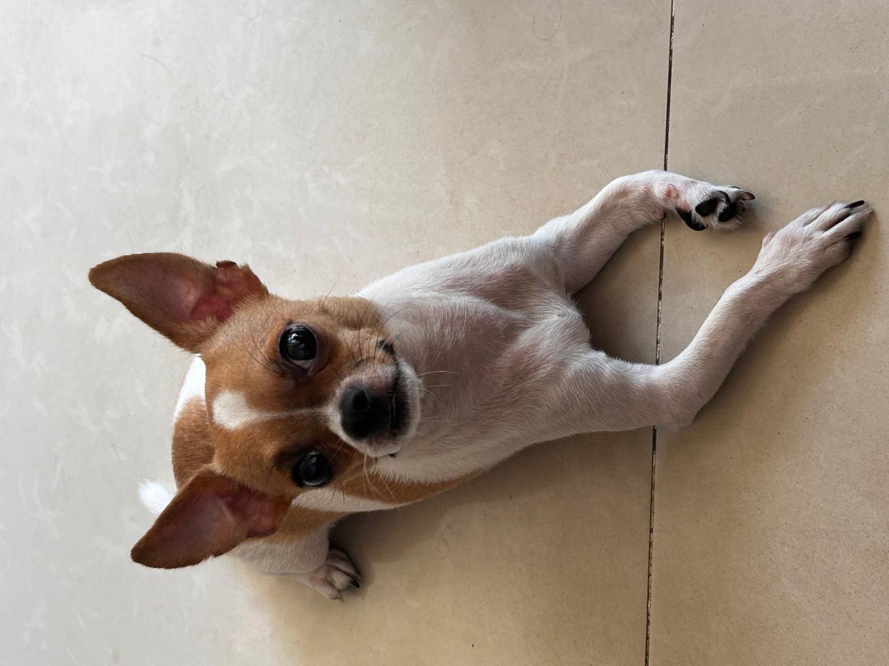 #