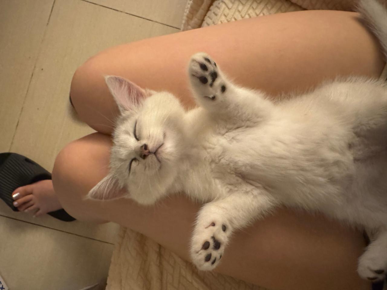 #
