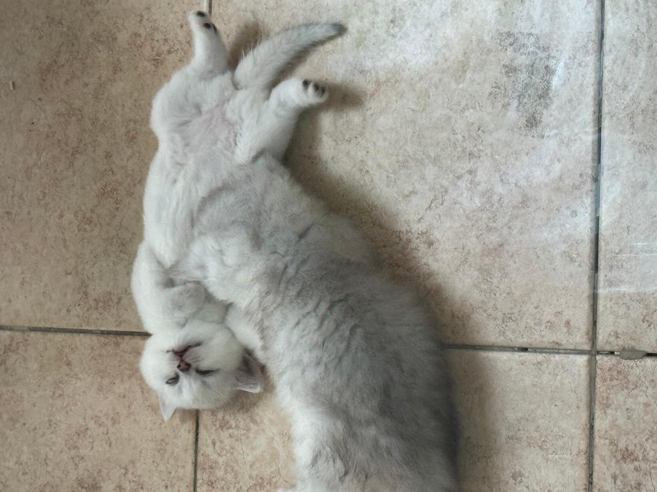 #