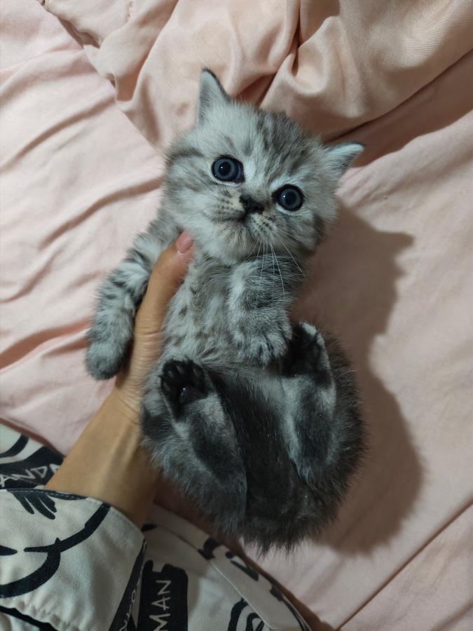 #