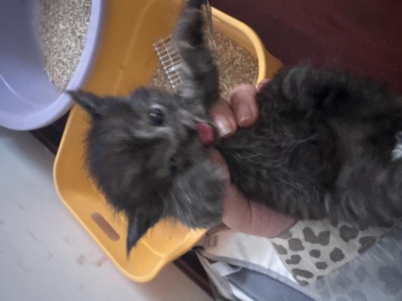 #