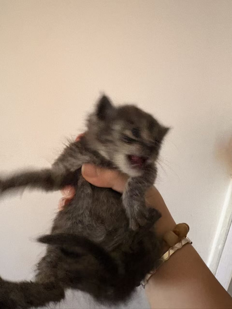 #