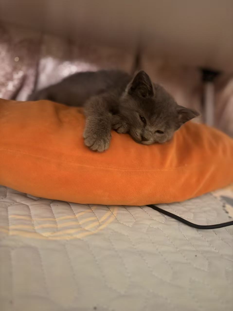 #