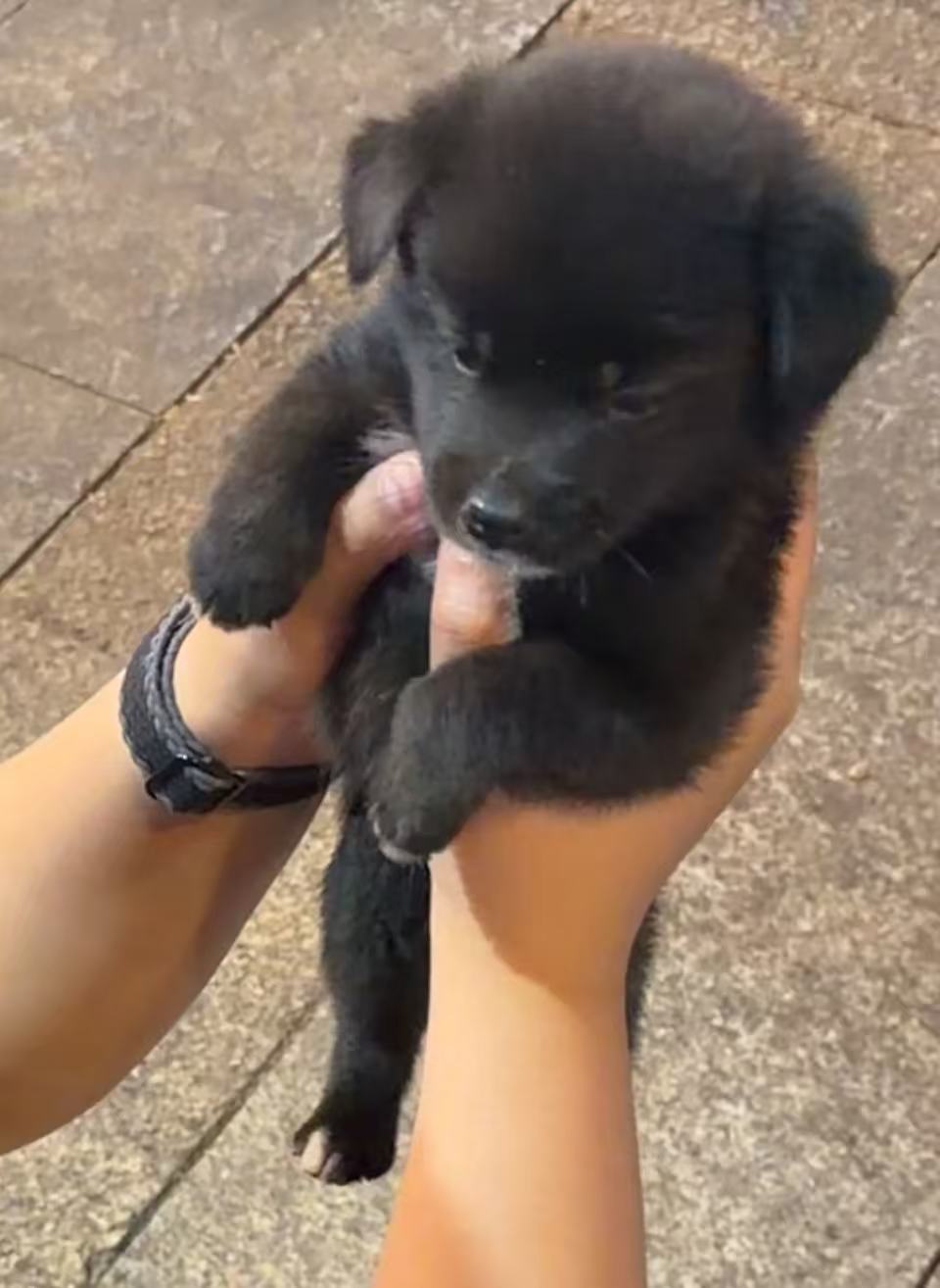 #