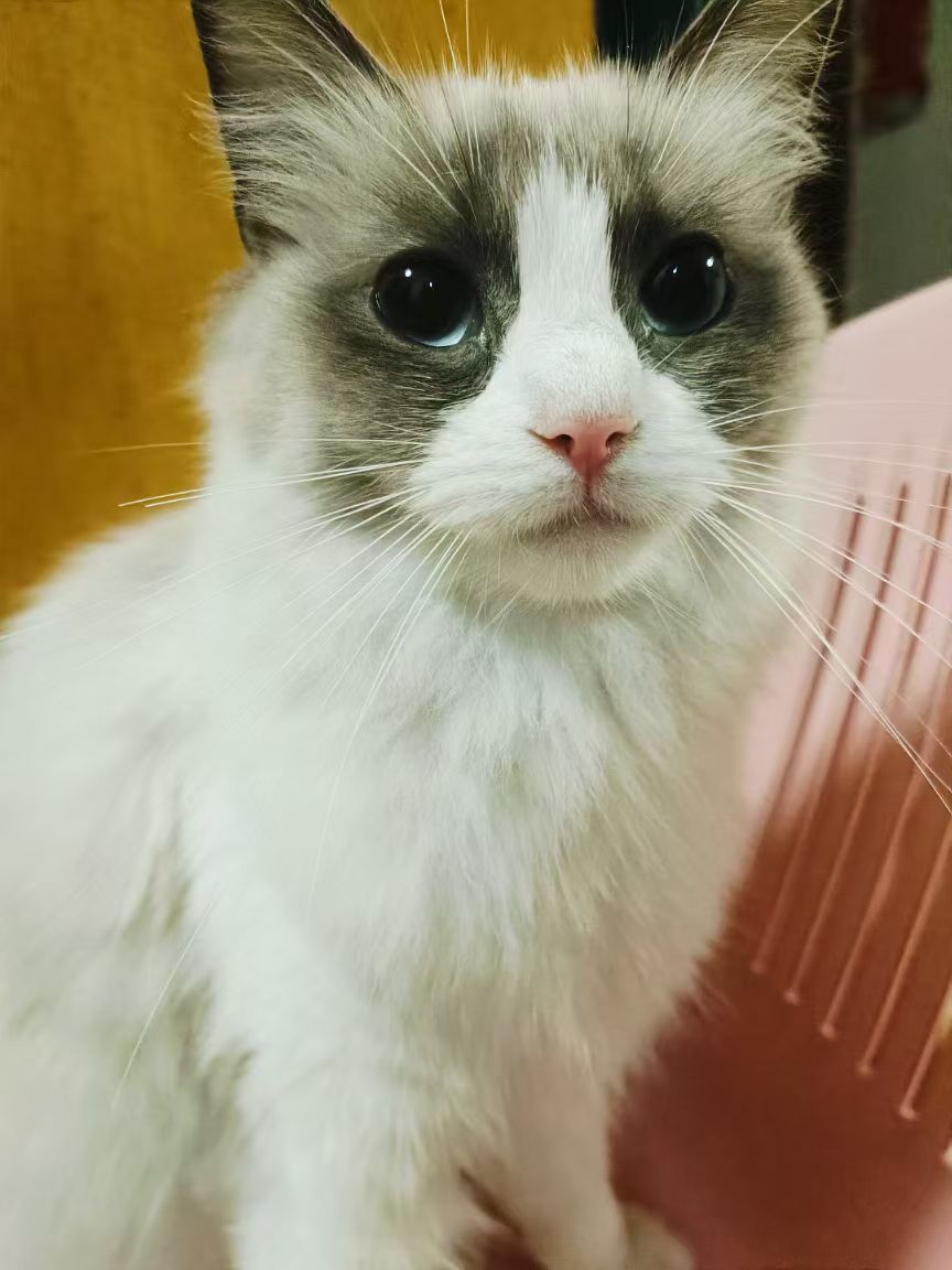 #