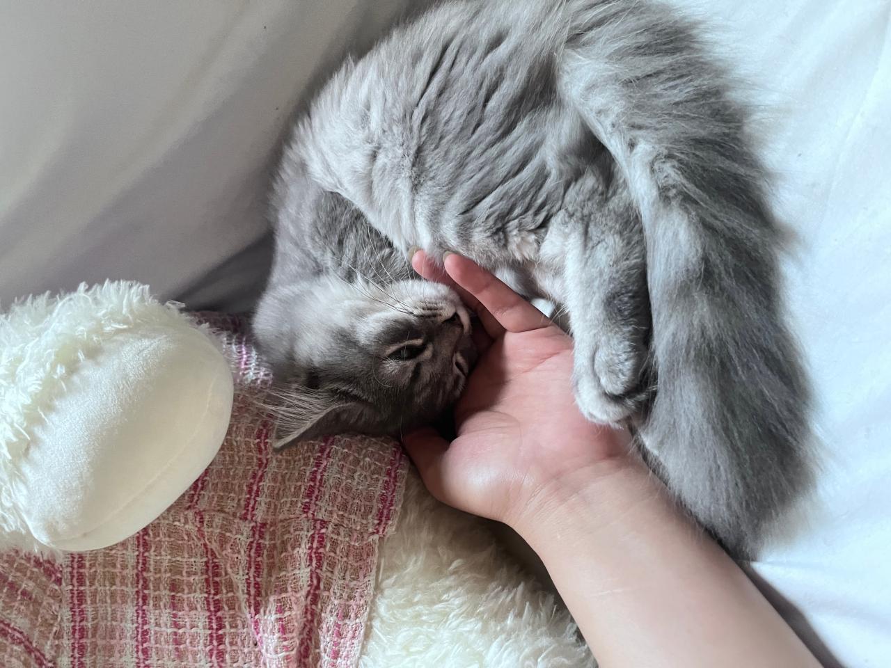 #