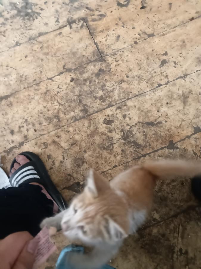 #