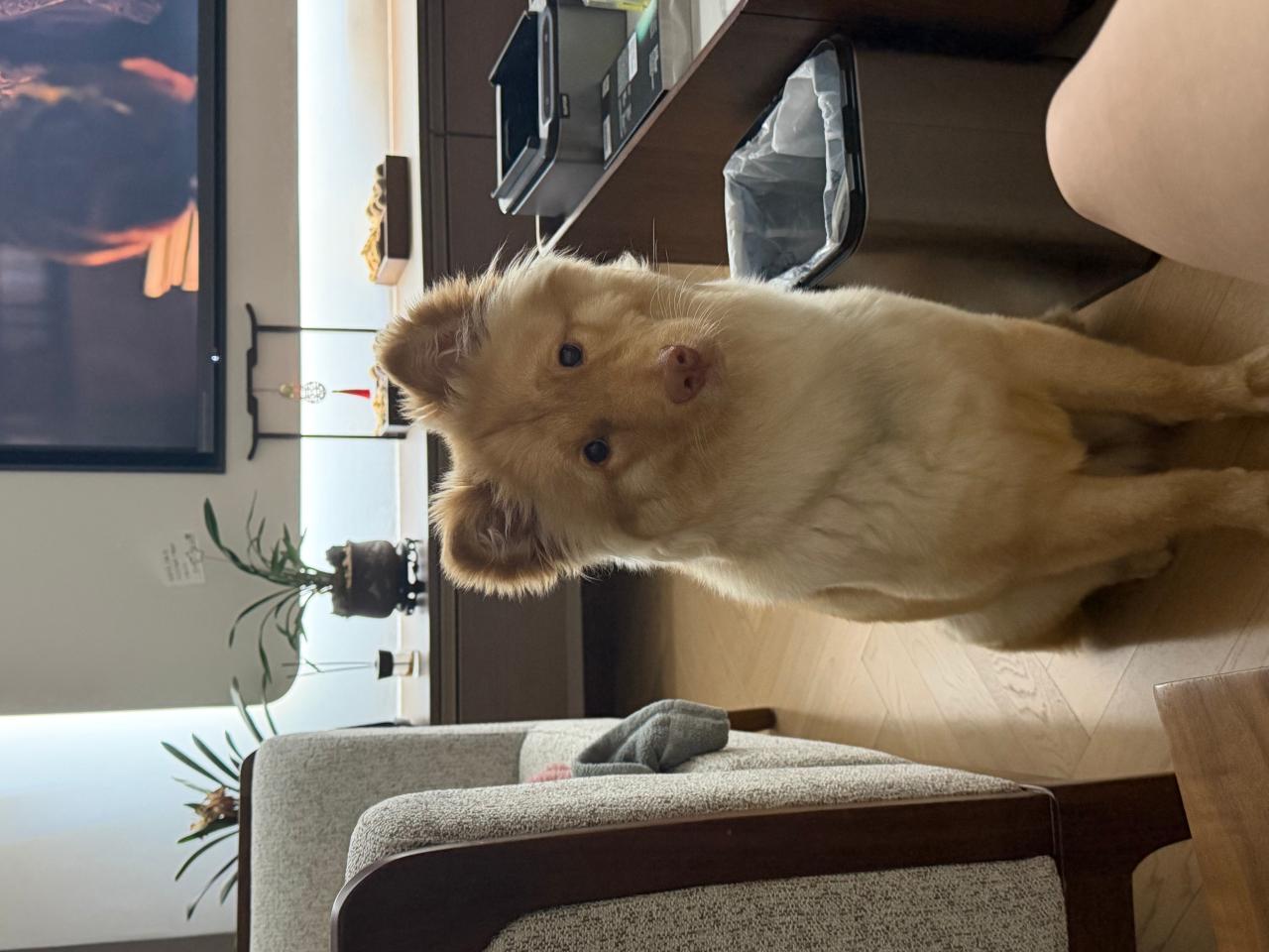 #