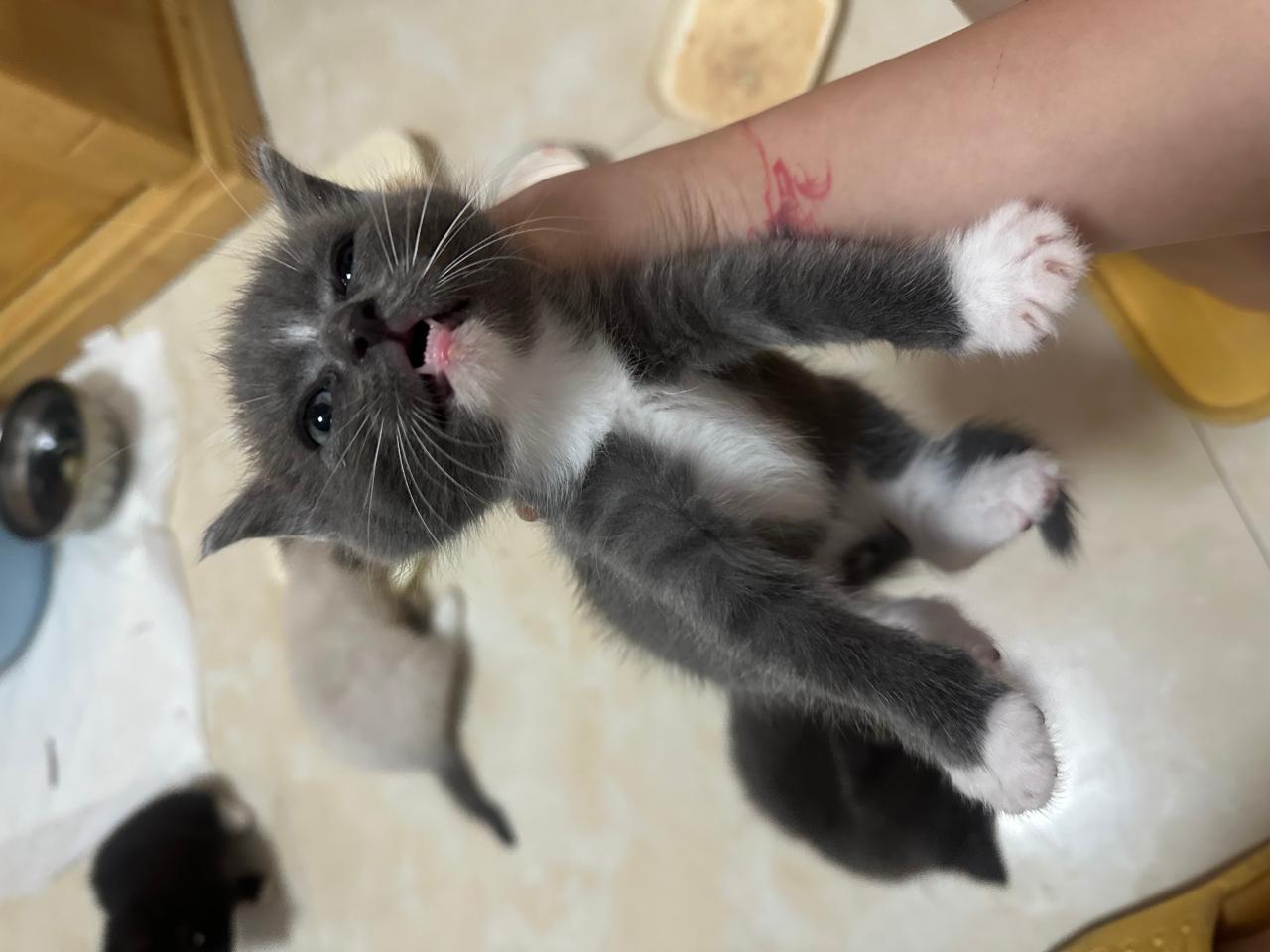 #