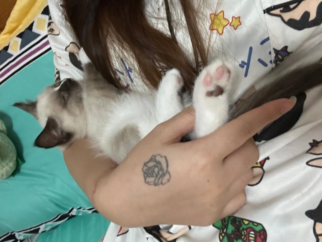 #