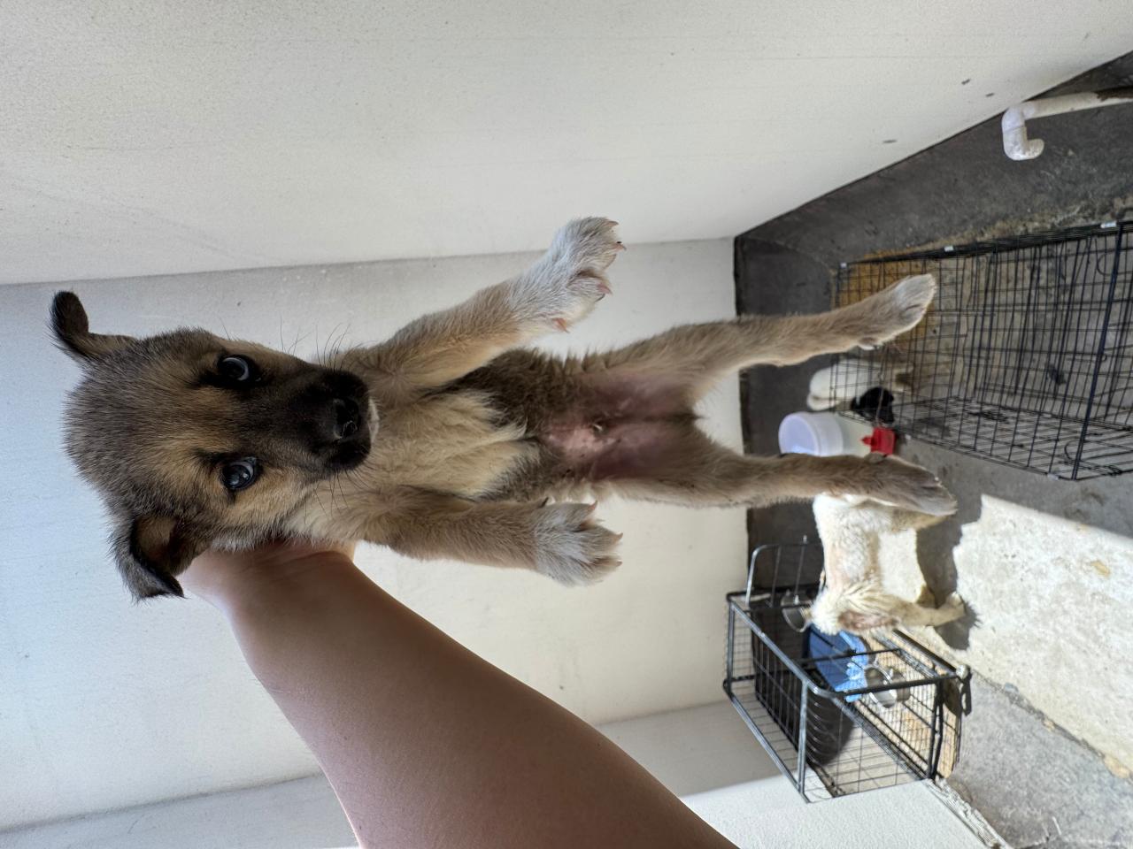 #