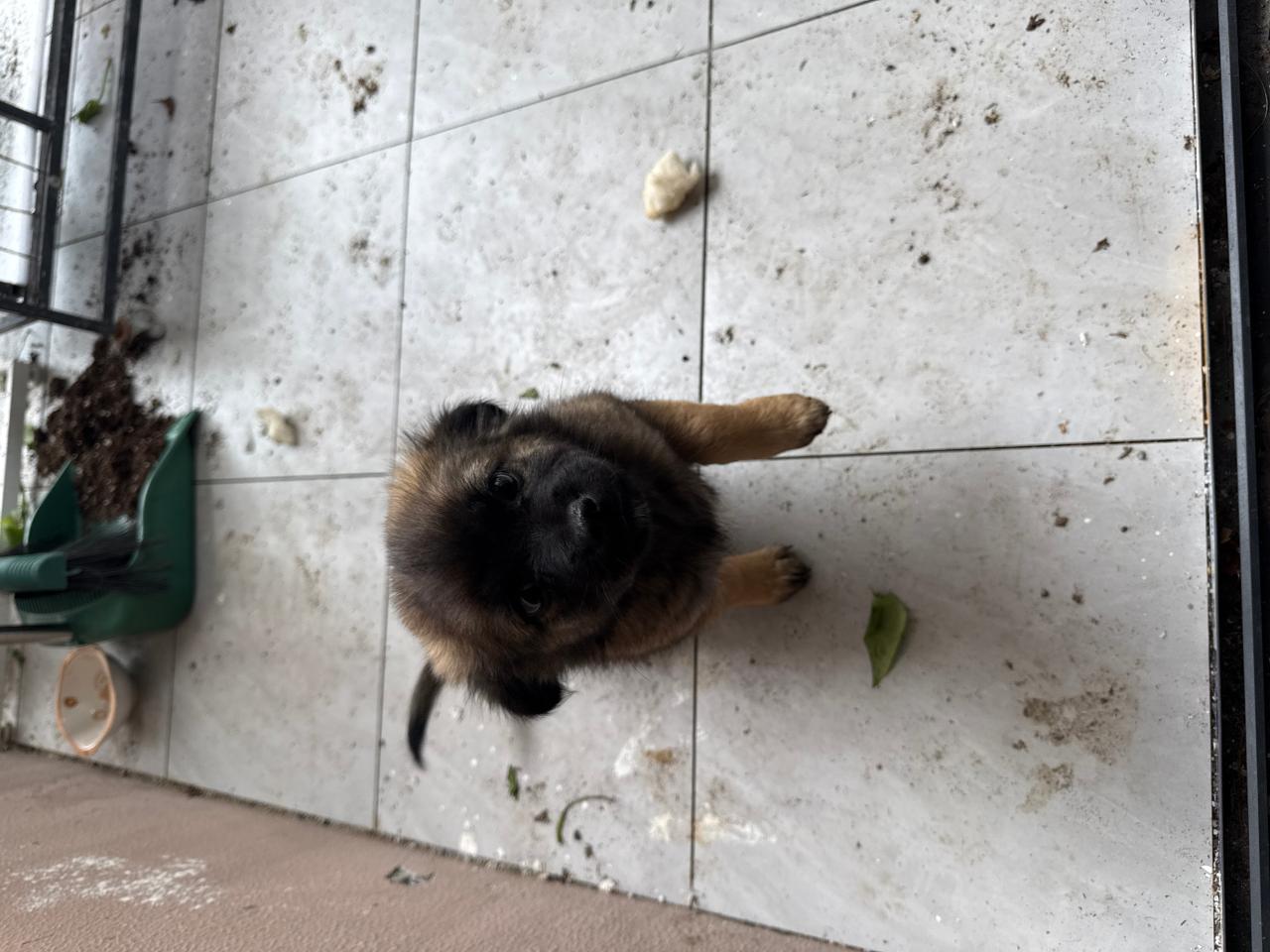 #