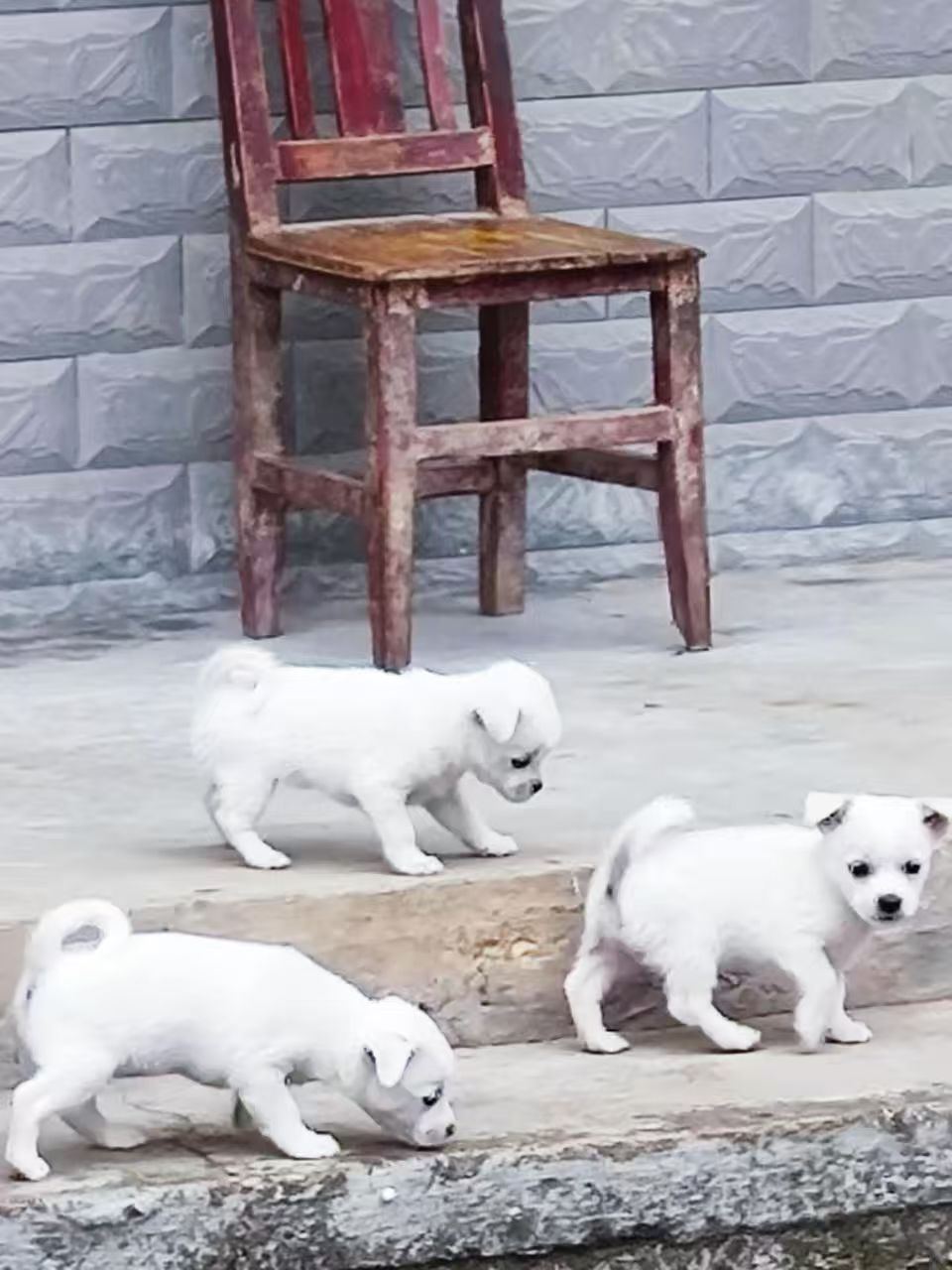 #
