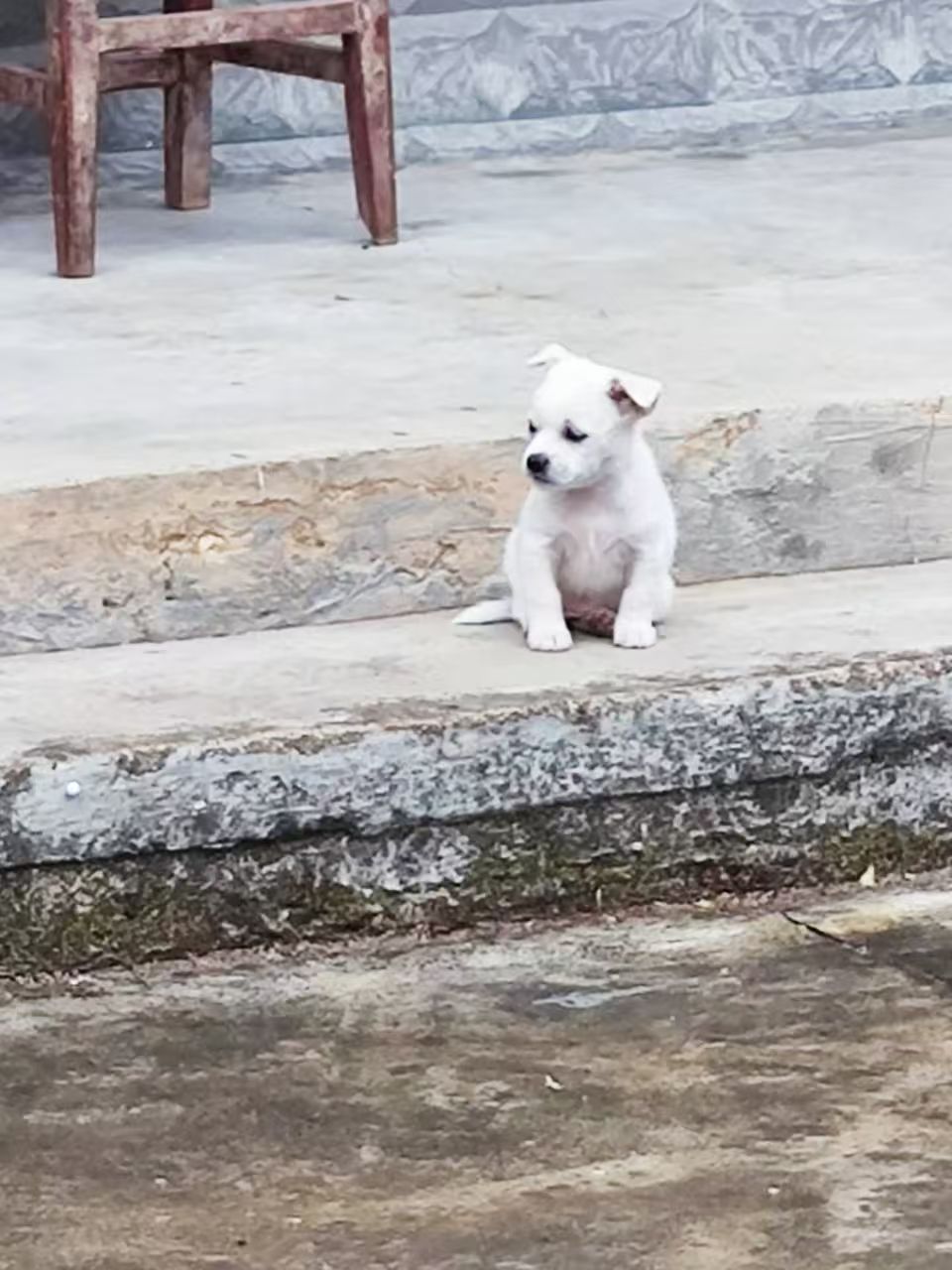 #