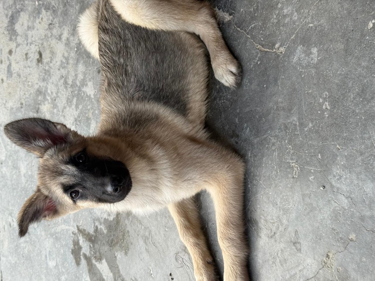 #