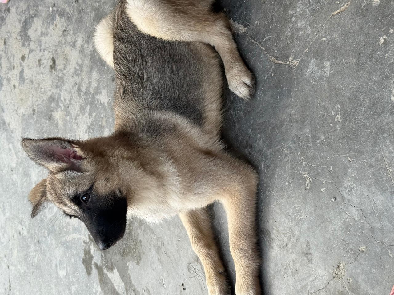 #