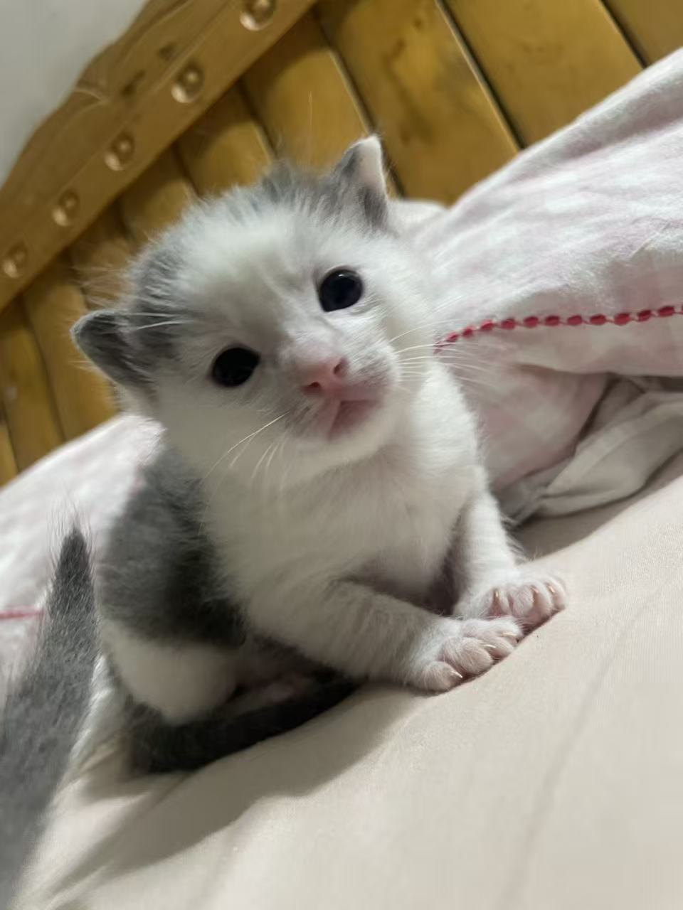 #