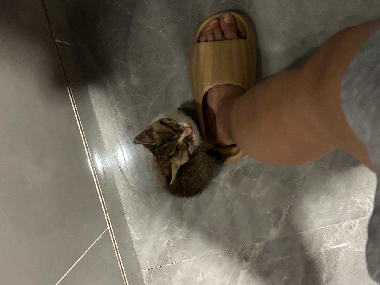 #