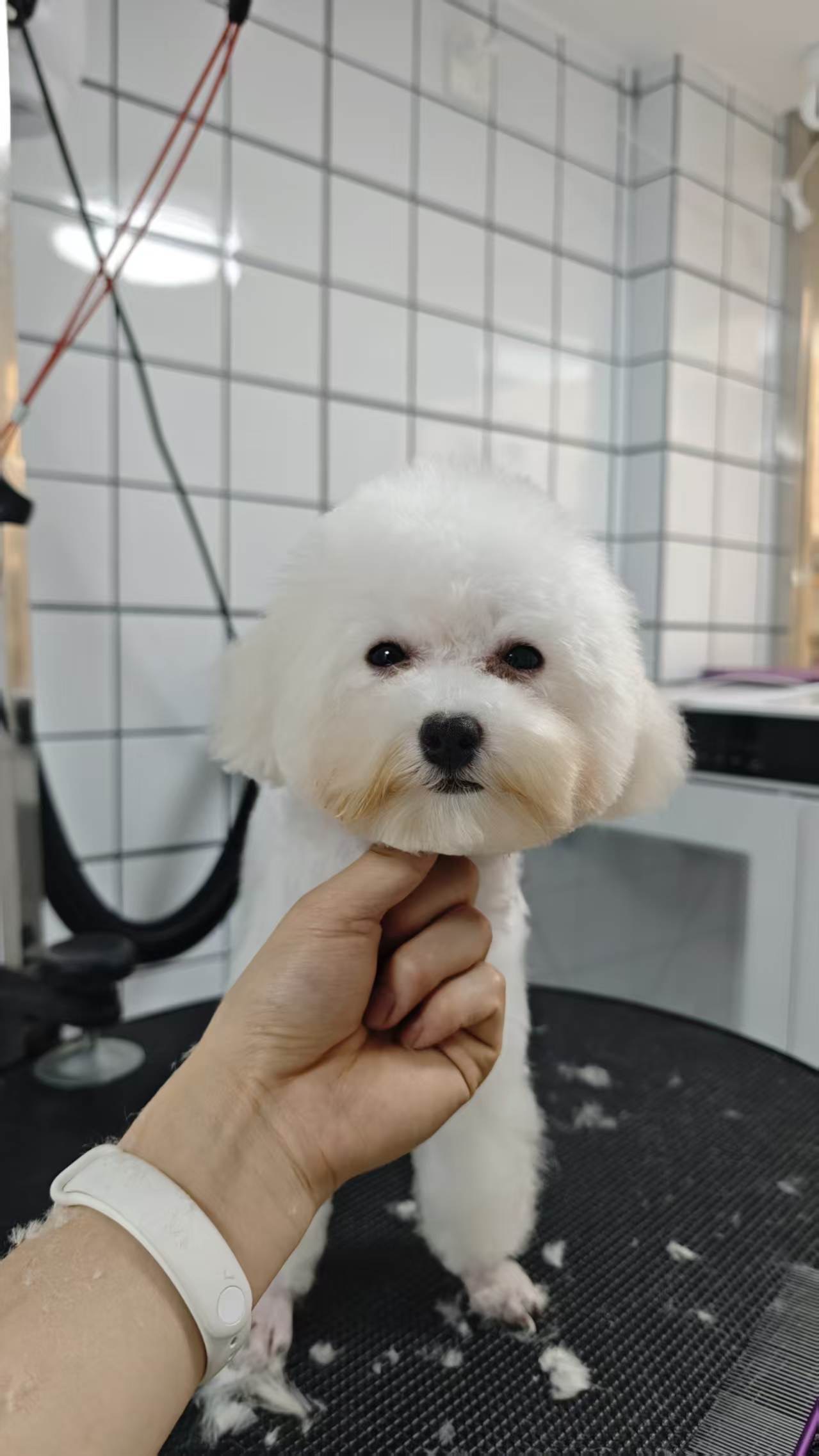 #