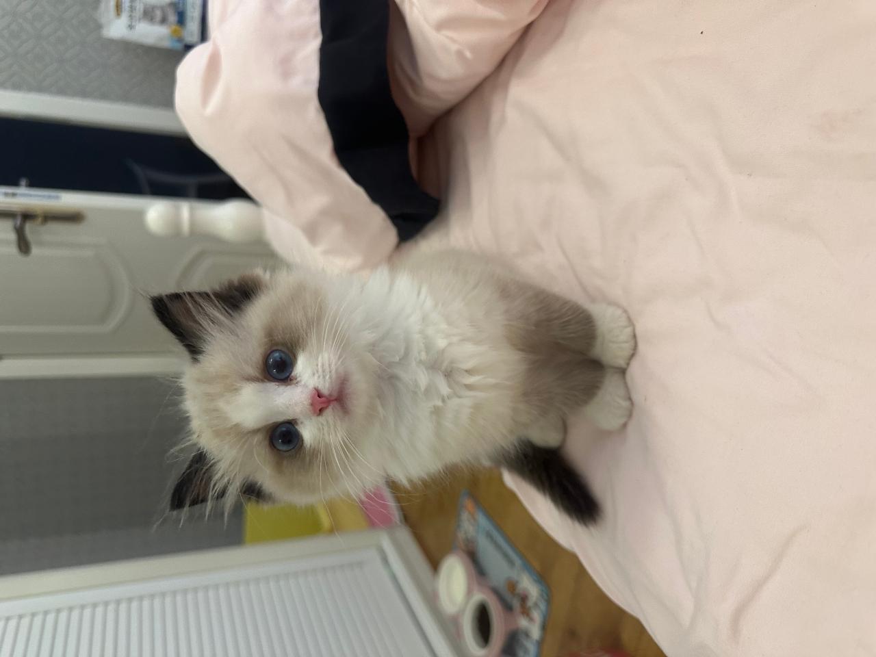 #