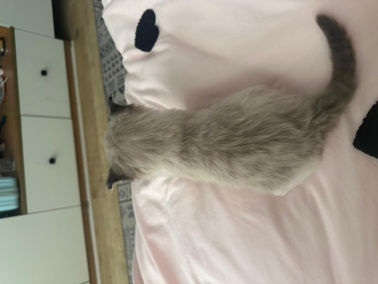 #