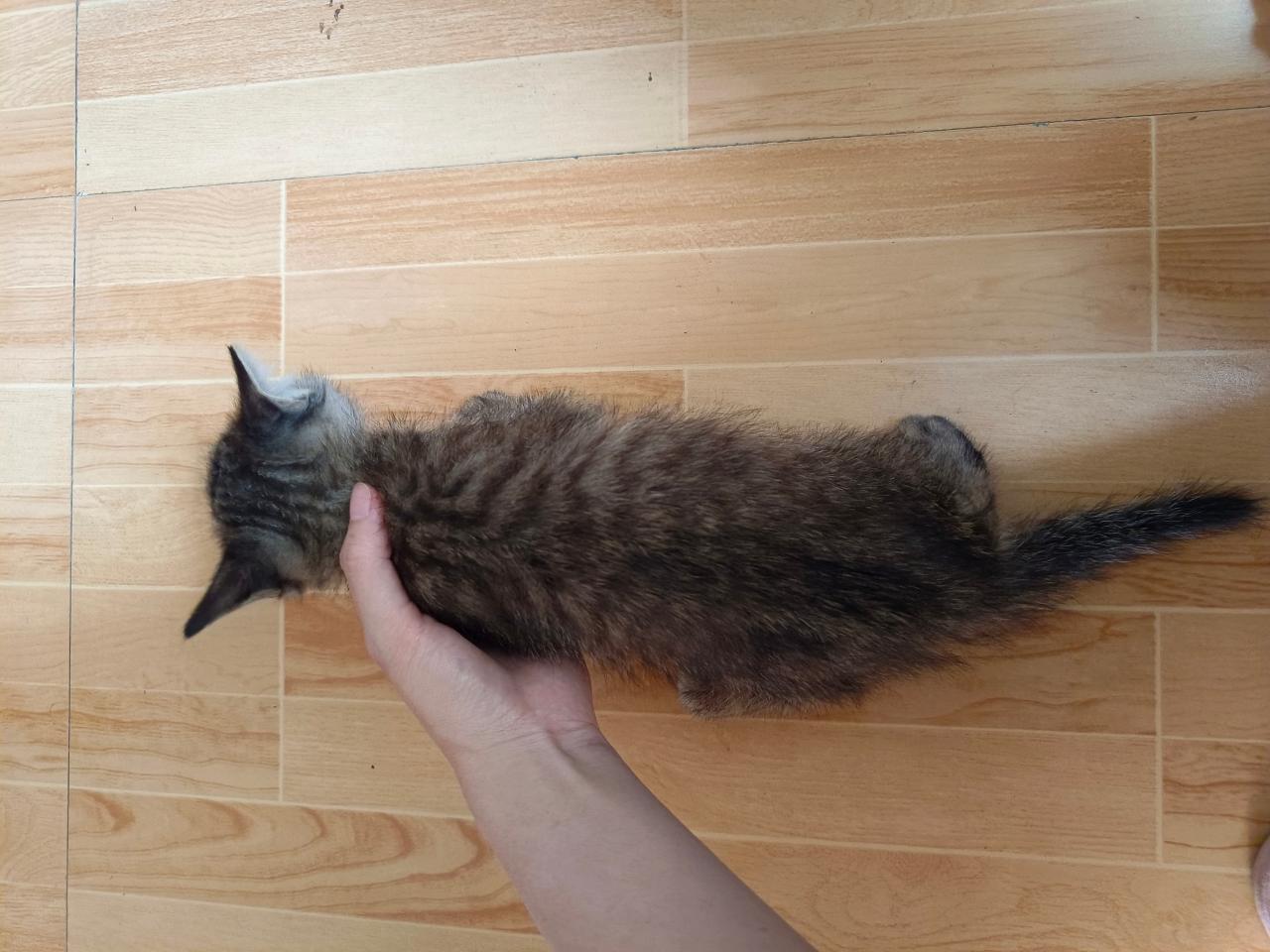 #