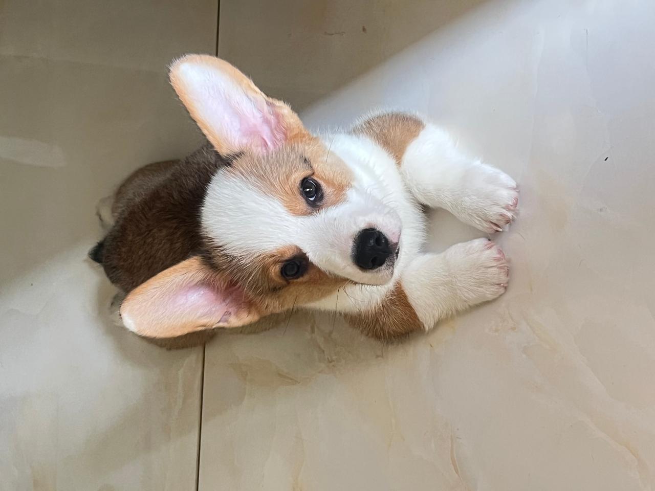 #