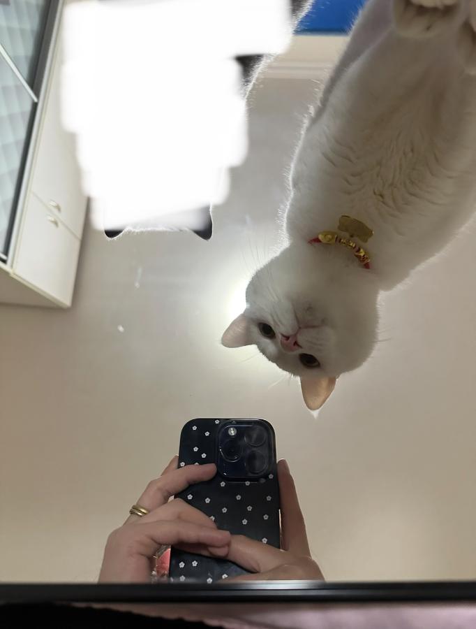 #