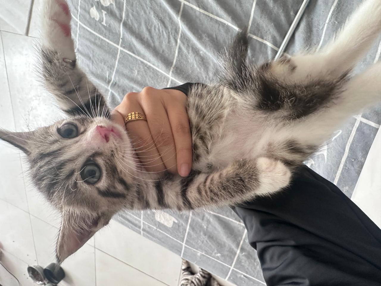 #