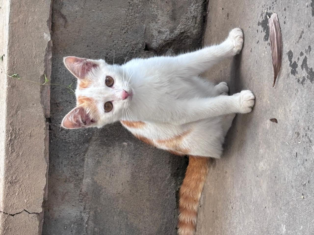 #