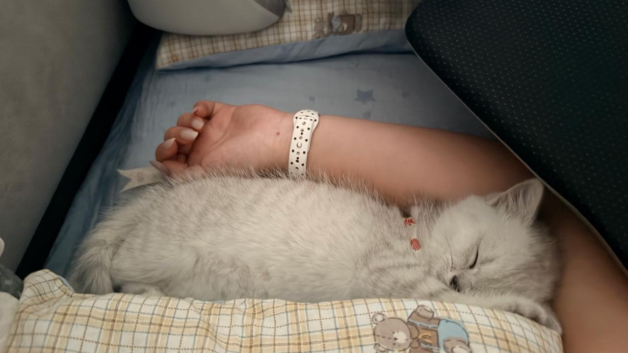 #