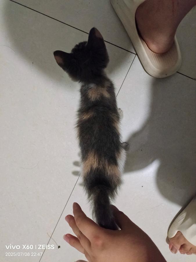 #