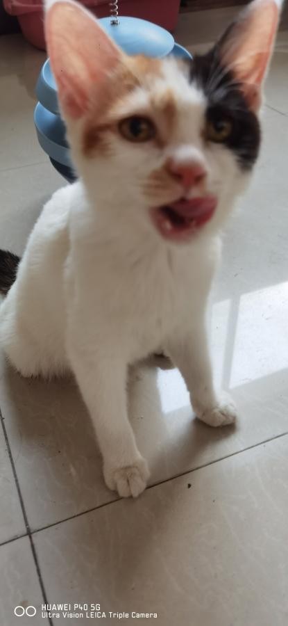 #