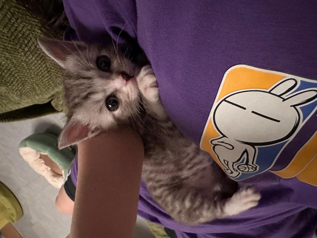 #