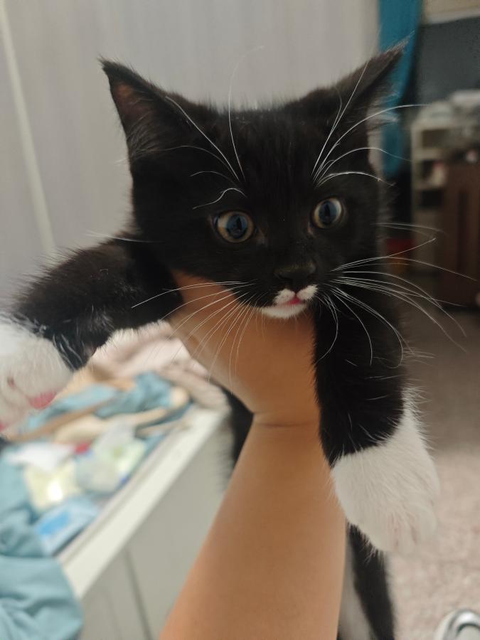 #