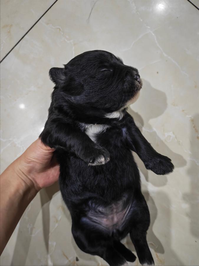 #