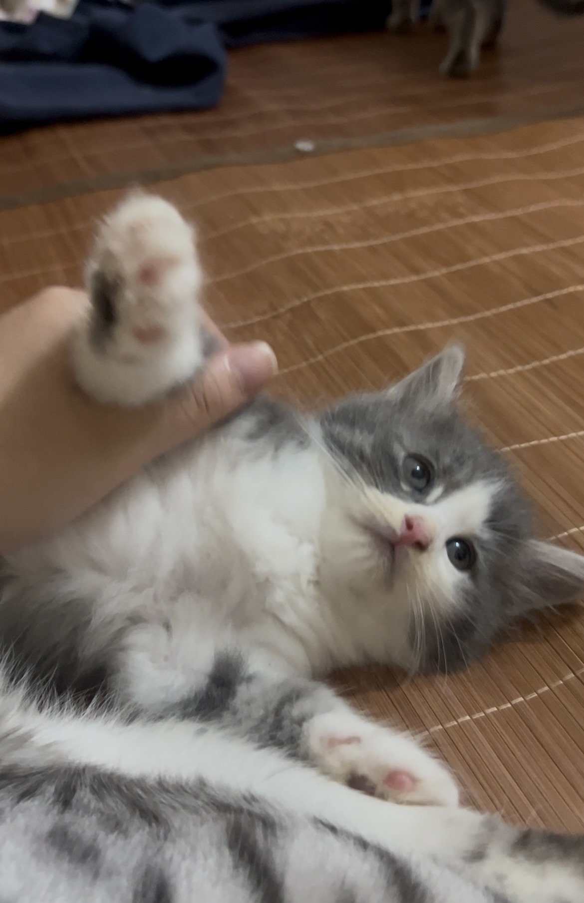 #