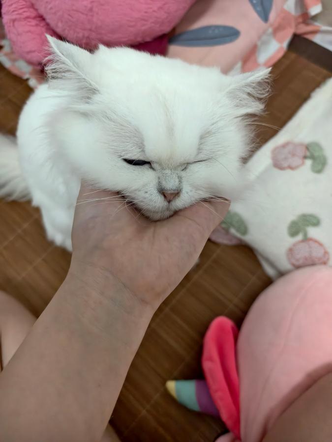#