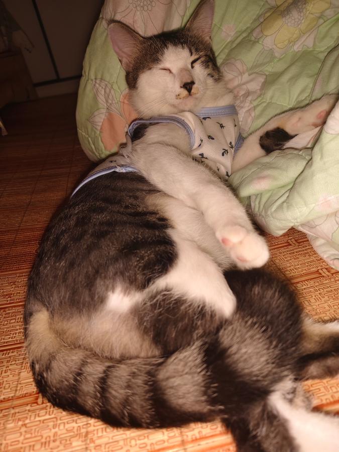 #