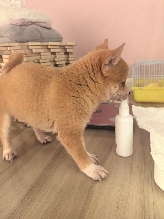 #