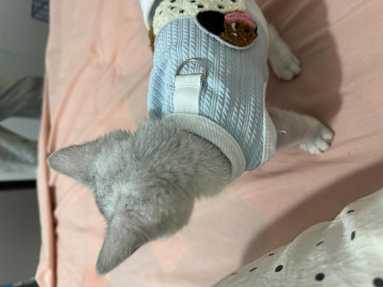 #