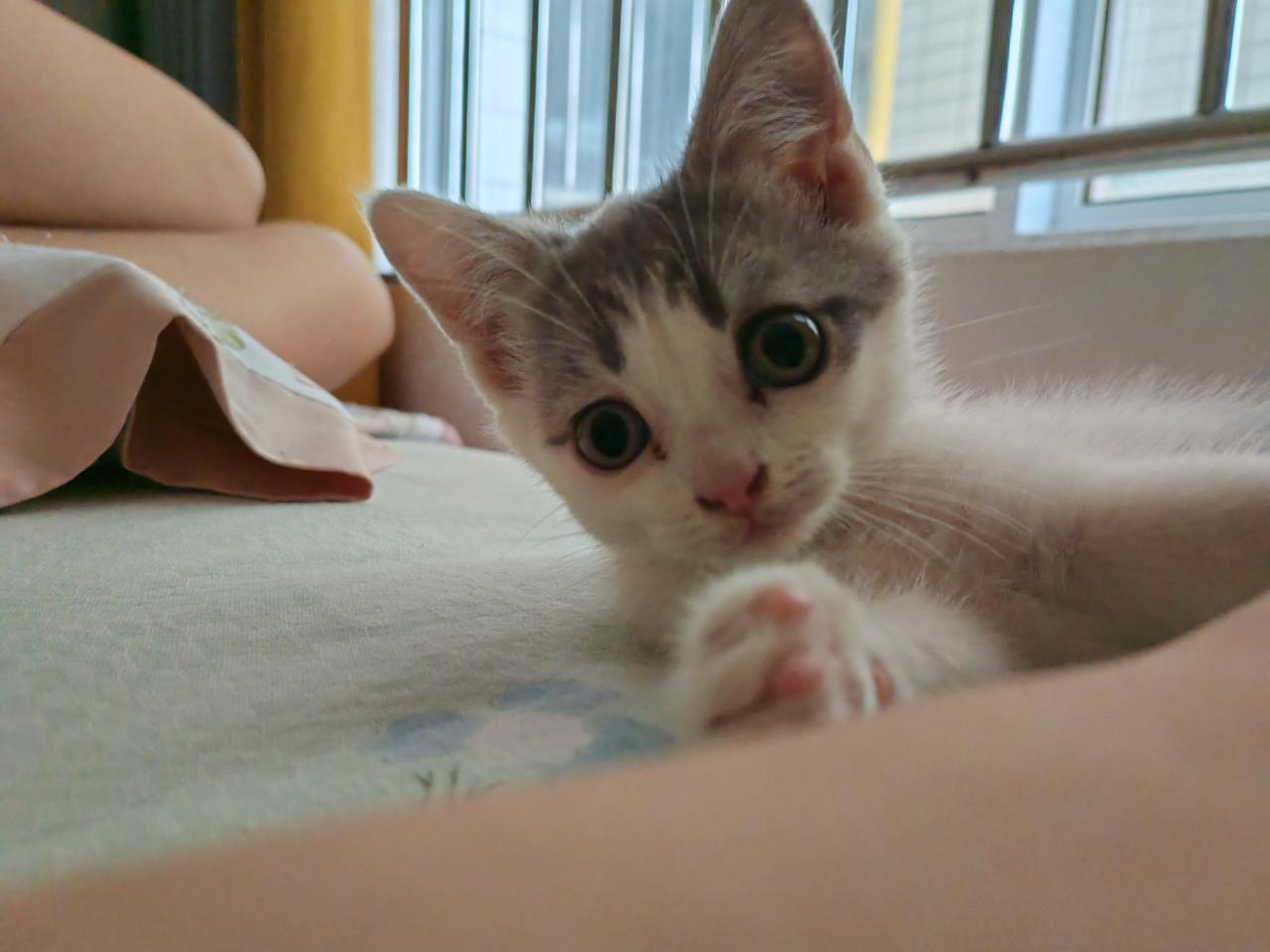 #