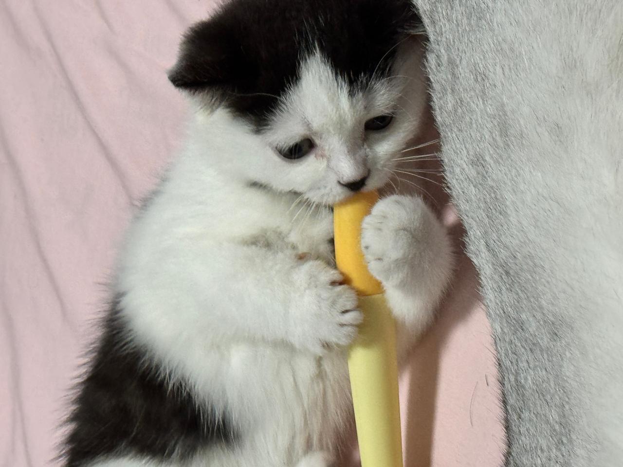 #