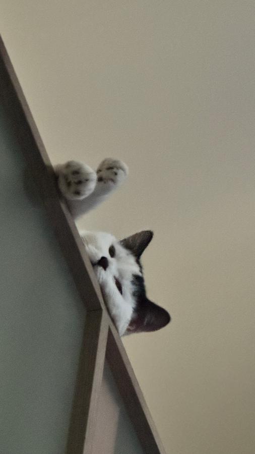 #