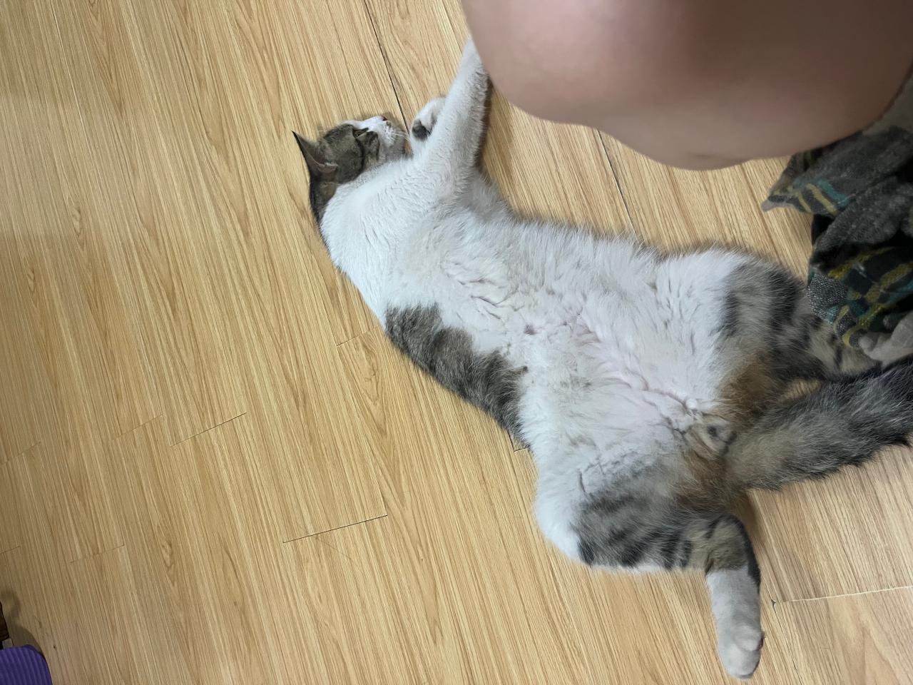 #