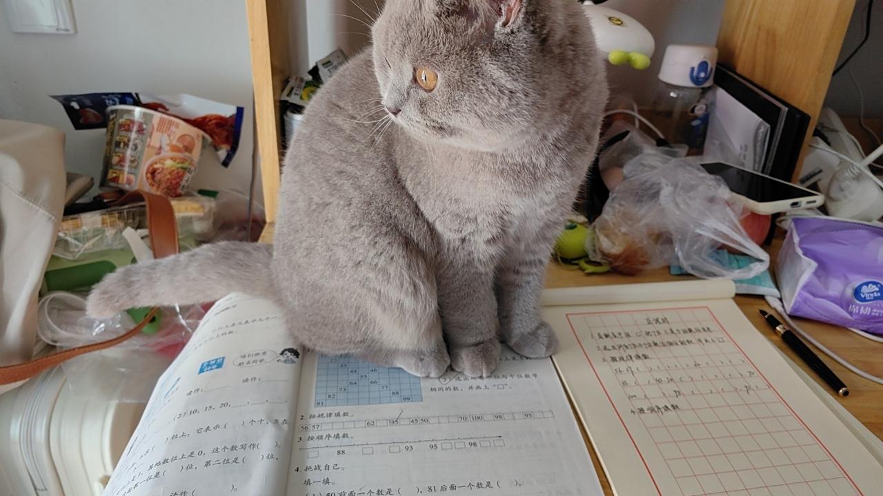 #