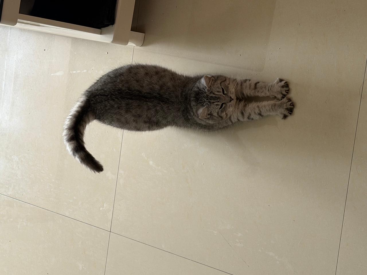 #