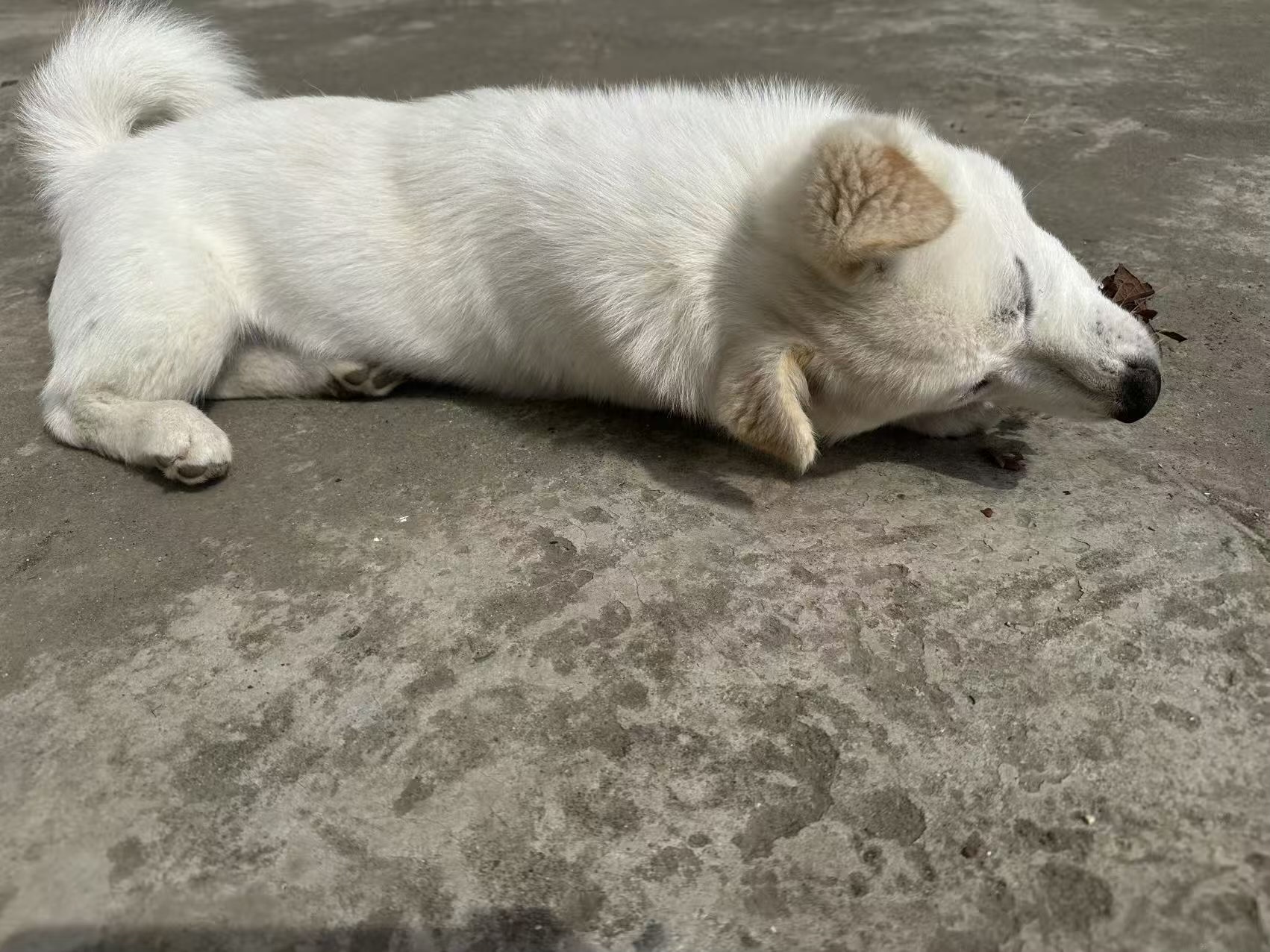 #
