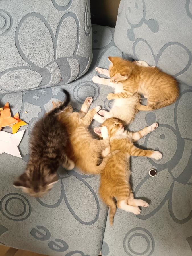 #