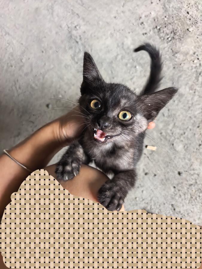#